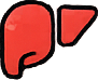 Fatty Liver