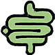 Gut Health