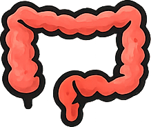 Irritable Bowel Syndrome (IBS)