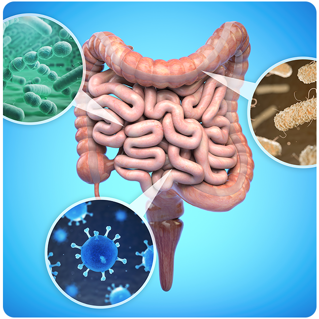 GUT Health